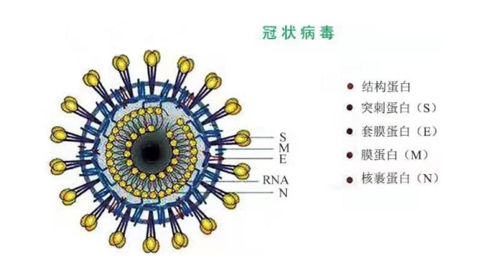 1590392000424631.png 图片2.png