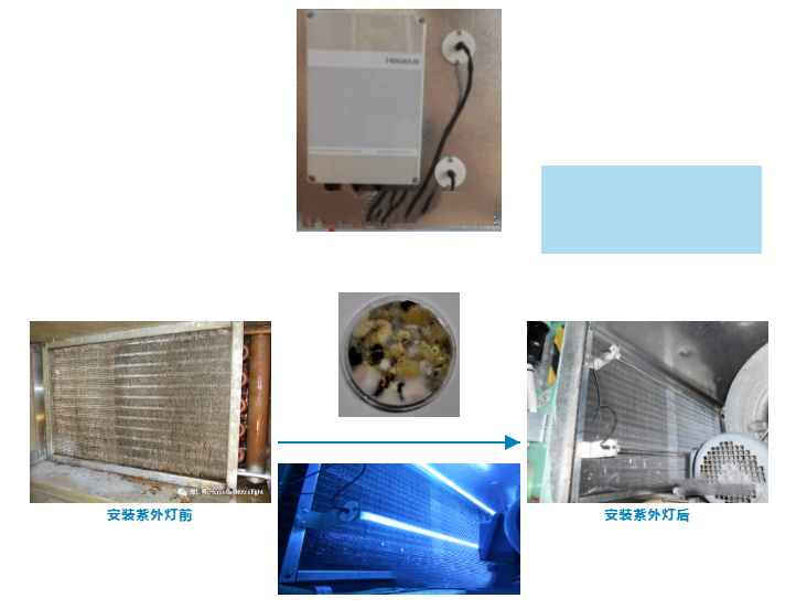 1590392177492931.png 图片7.png